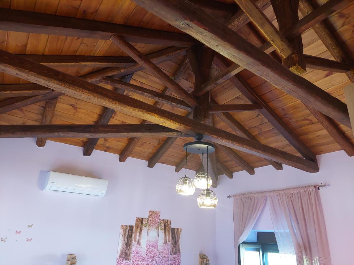 Villa Το Σπίτι Του Παληκαρα Diava Exterior foto